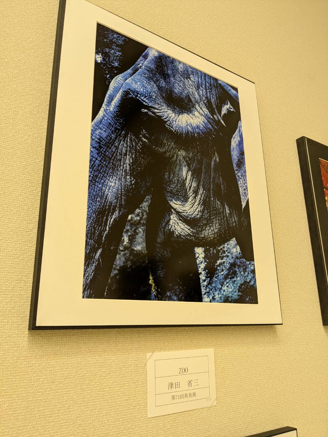 津田さん入選おめでとう！ | NTT労組退職者の会鹿児島県支部協議会