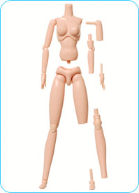 27BD-F05W】女性バージョン SBH-S胸 ホワイティ OBITSU SHOP