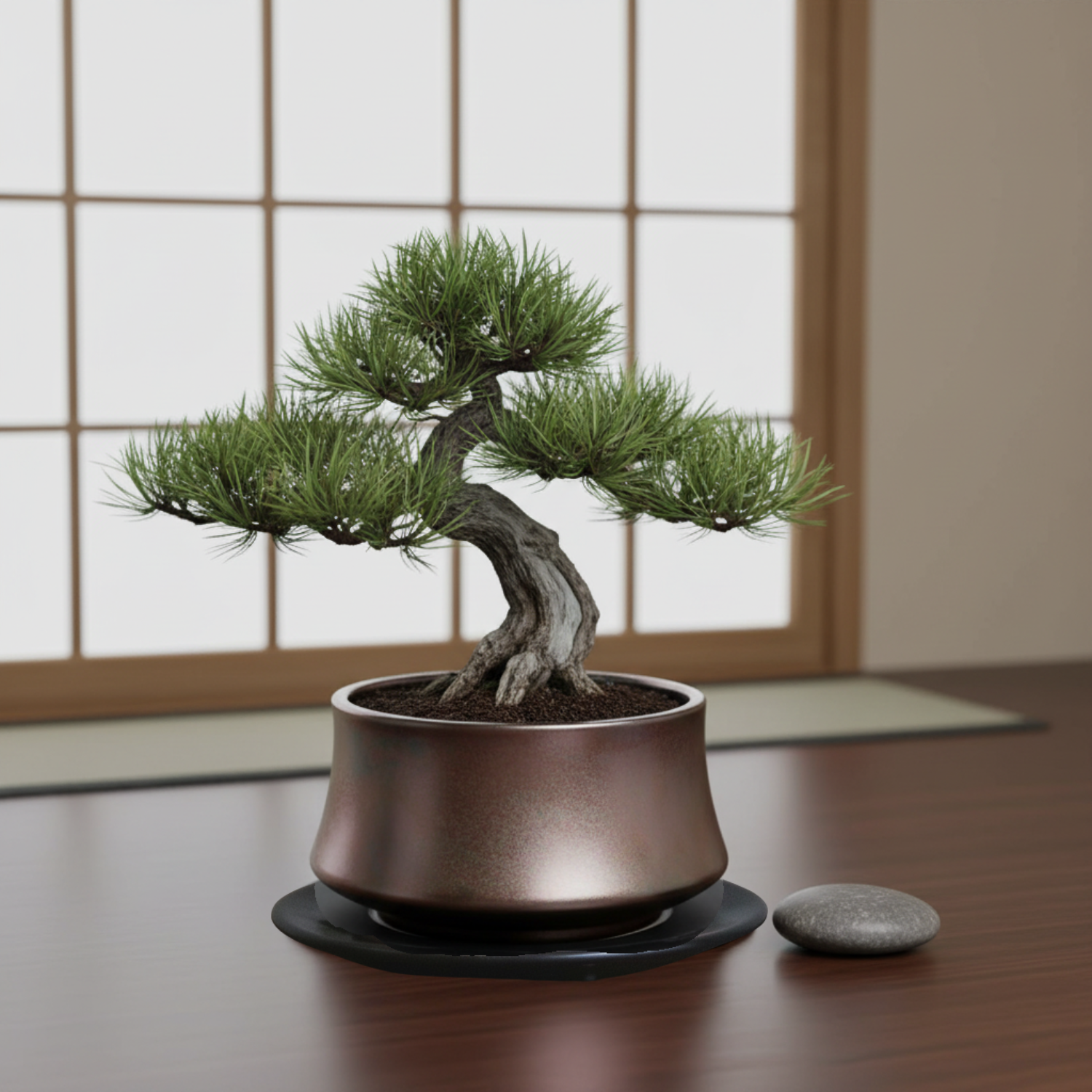 盆栽鉢｜塊根植物｜美濃焼｜和鉢｜鉢の専門店onajimi おなじみ