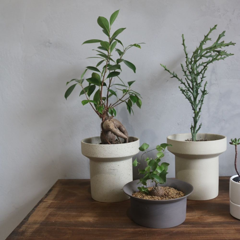 2.5号｜おしゃれな陶器鉢｜背の高い｜受け皿付｜ハットさん｜北欧｜M