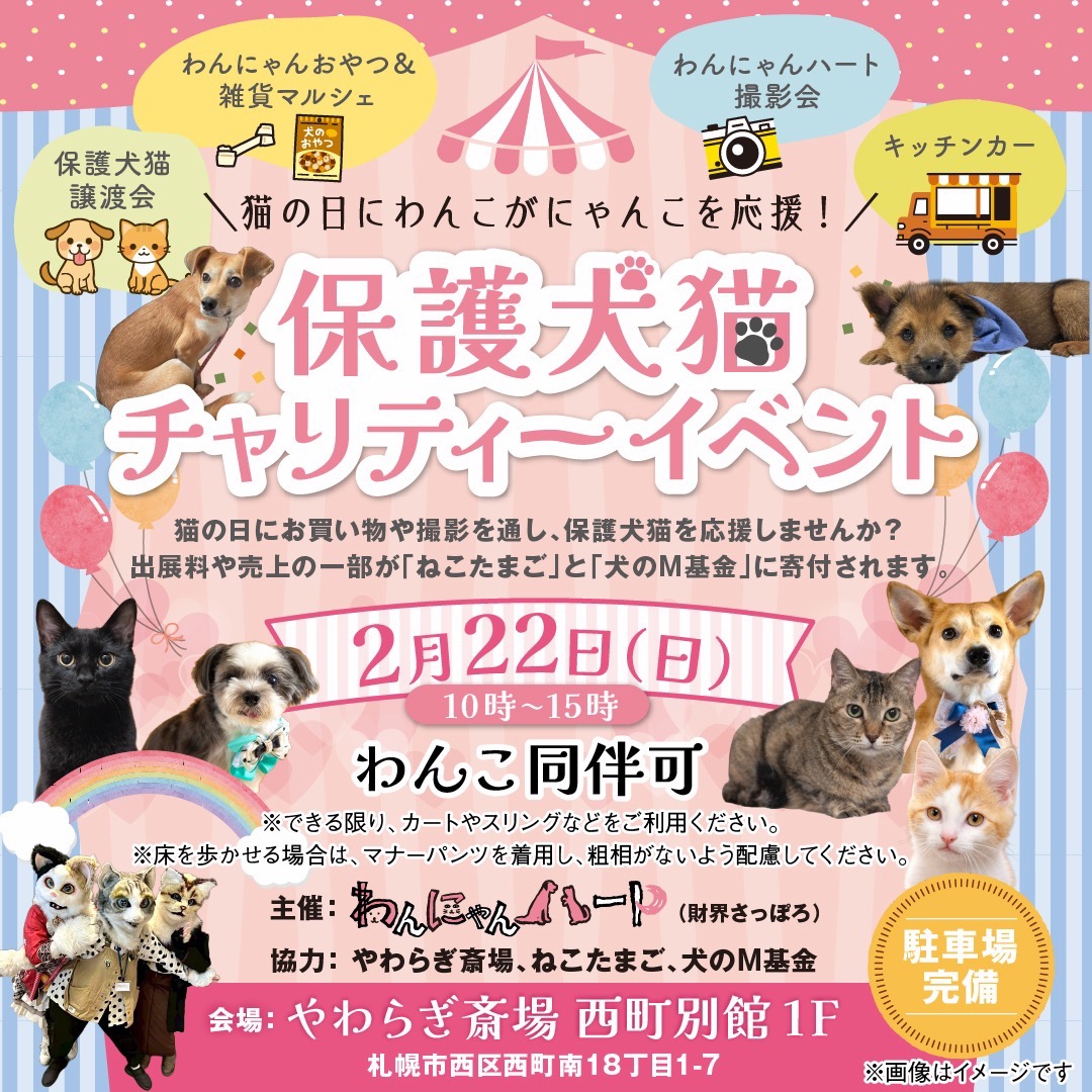 猫の日にわんこがにゃんこを応援／保護犬猫チャリティーイベント開催