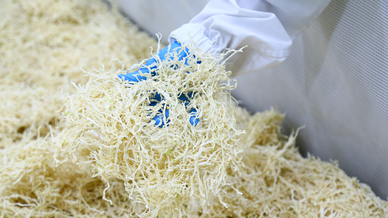 切り干し大根の加工 | 有限会社大崎農園