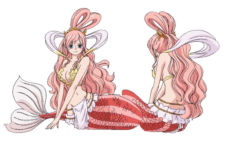 ONE PIECE .com ニュース｜明日2/19（日）放送のアニメ「ワンピース