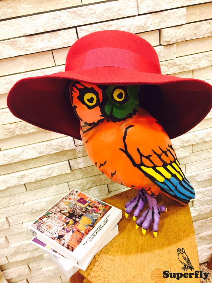 💘✌️🔥】 10年分のSuperfly✨が詰まった、Superfly 10th Anniversary