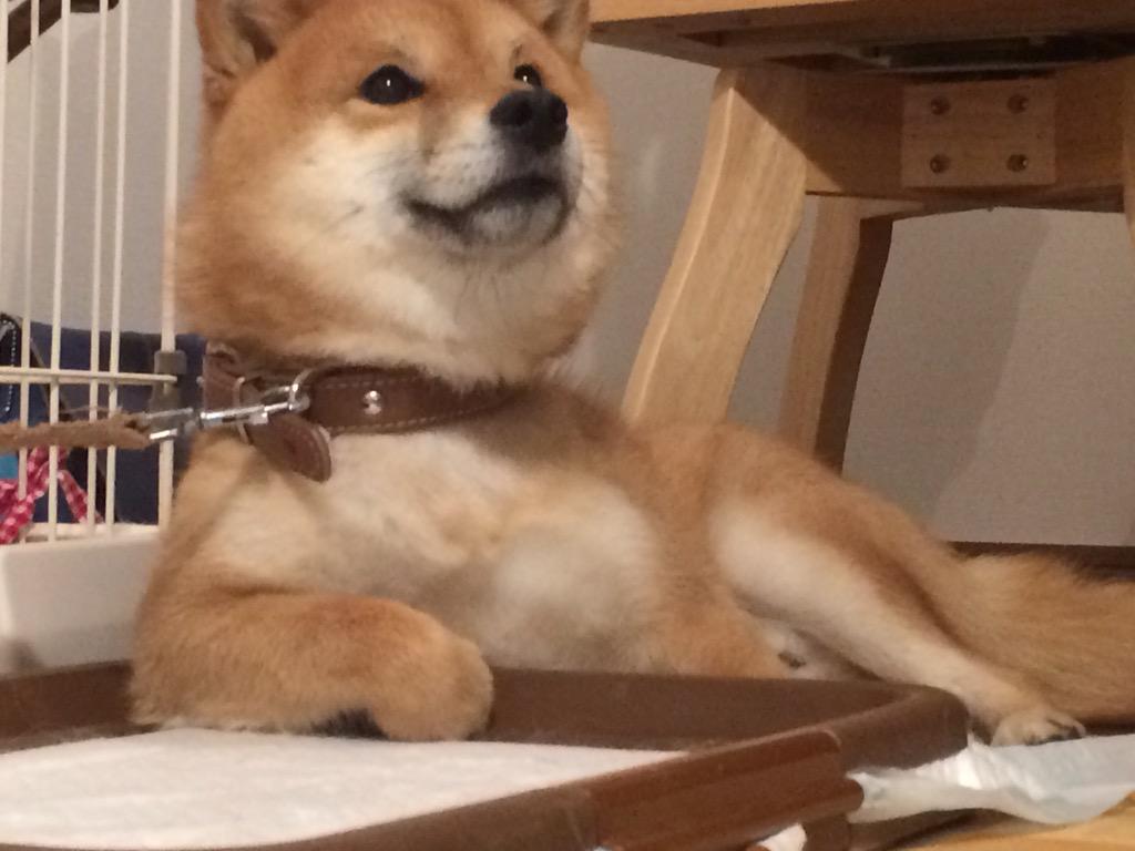 江口大輔 (@eguchi2639) / Posts / X