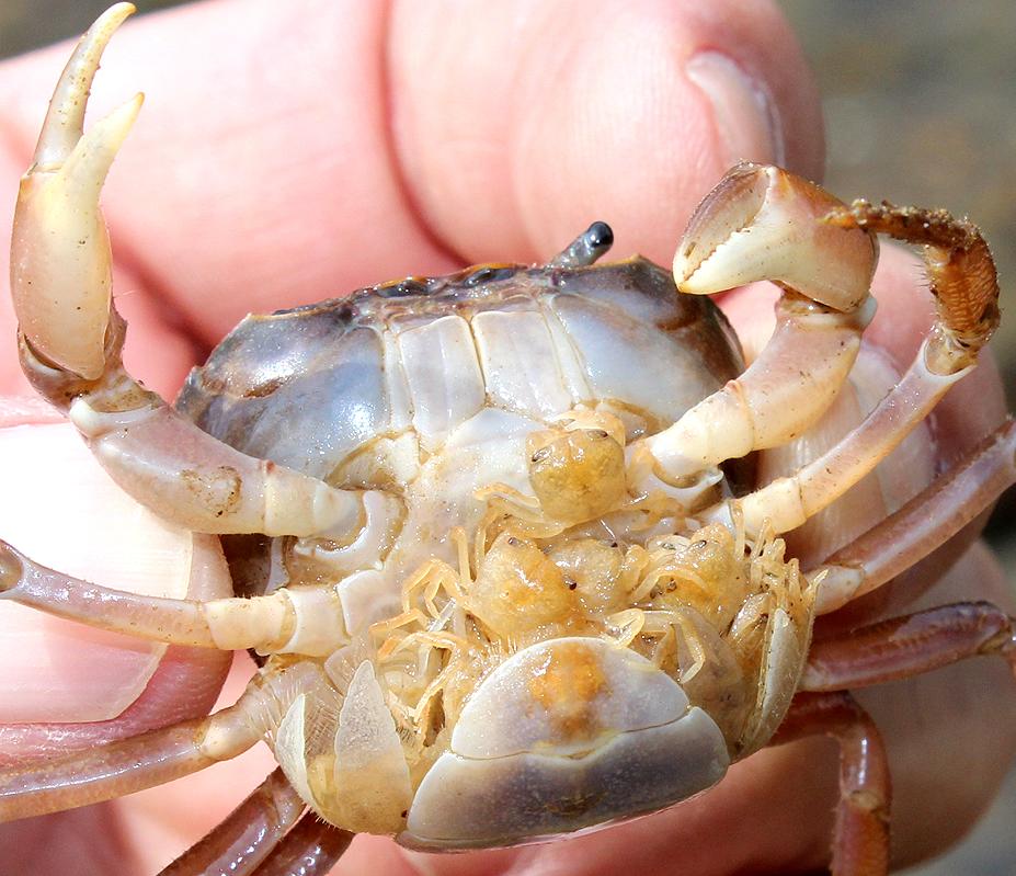 CP9PeDnVEAAfvhu.jpg?format=jpg