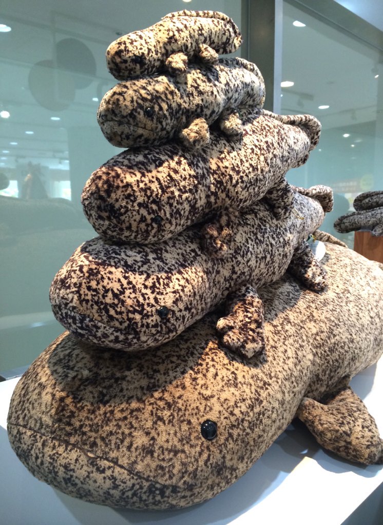 これぞ秘技オオサンショウウオぬいぐるみ全サイズ乗せ。 皆さまもぜひ