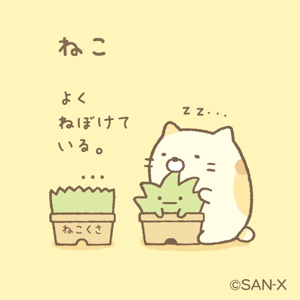 ねこ】よくねぼけている。 ＃すみっコ紹介