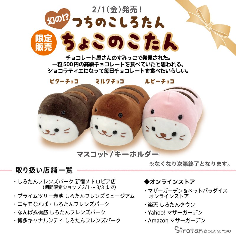 🍫ちょこのこたん出没注意🍫 #チョコレート 屋さんで高級チョコに味を