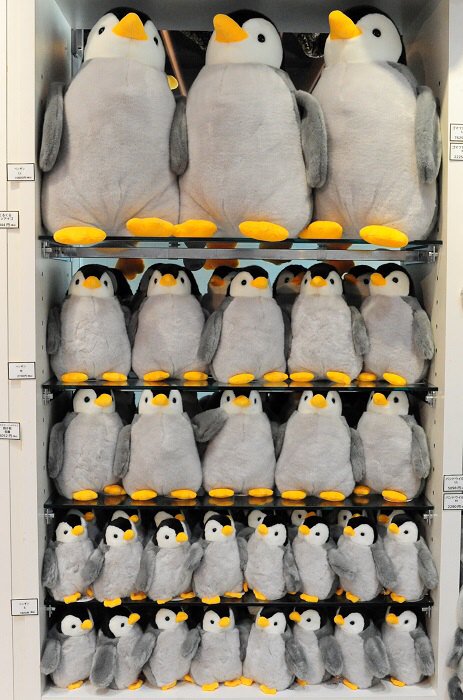 定番から人気どころまで幅広く取り揃えています。お越しの際はぜひ一体