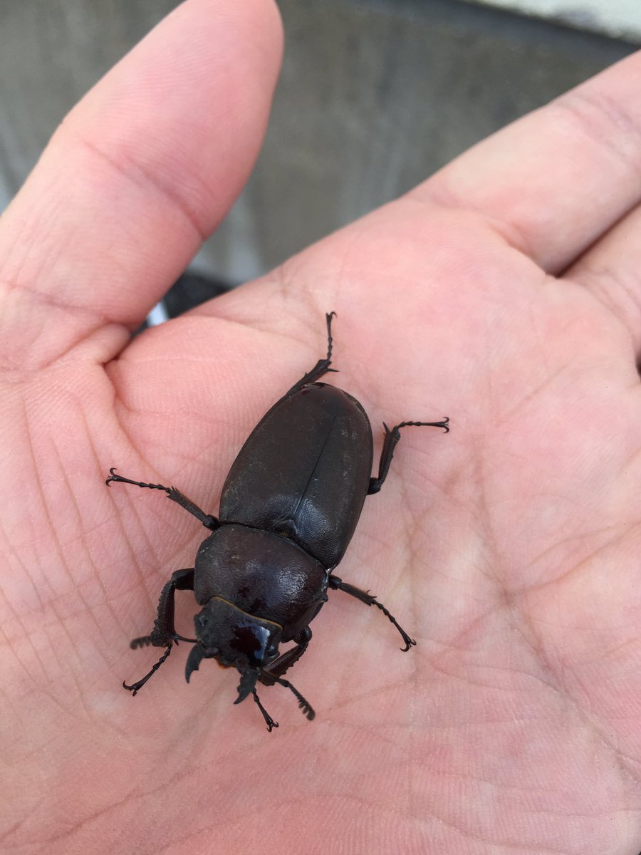 そうだ。もう7月だ。