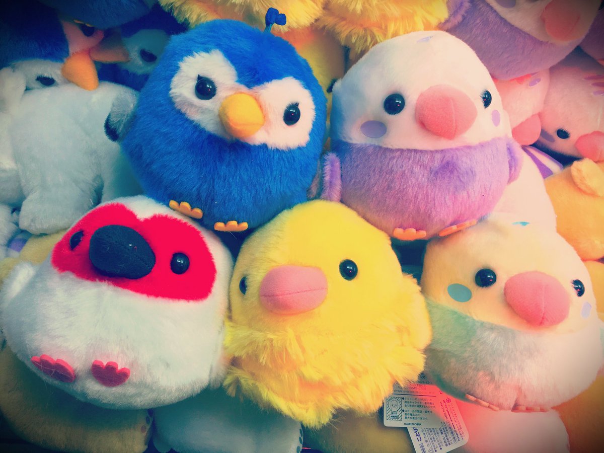 ことり隊最新作✨✨✨ 【ことり隊 ビューティフル スタンダート