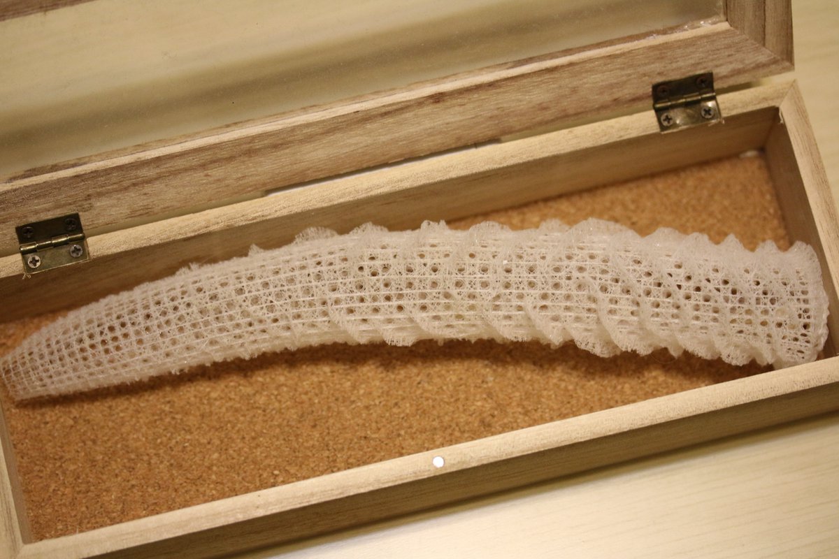 カイロウドウケツ（偕老同穴）の標本。 深海に住む海綿の一種で、骨格