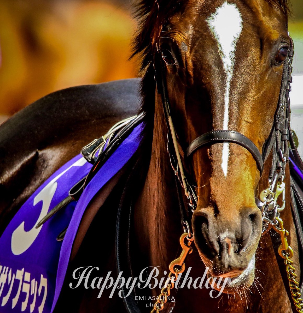 3/10 キタサンブラックお誕生日おめでとうございます🎂✨✨ #キタサン