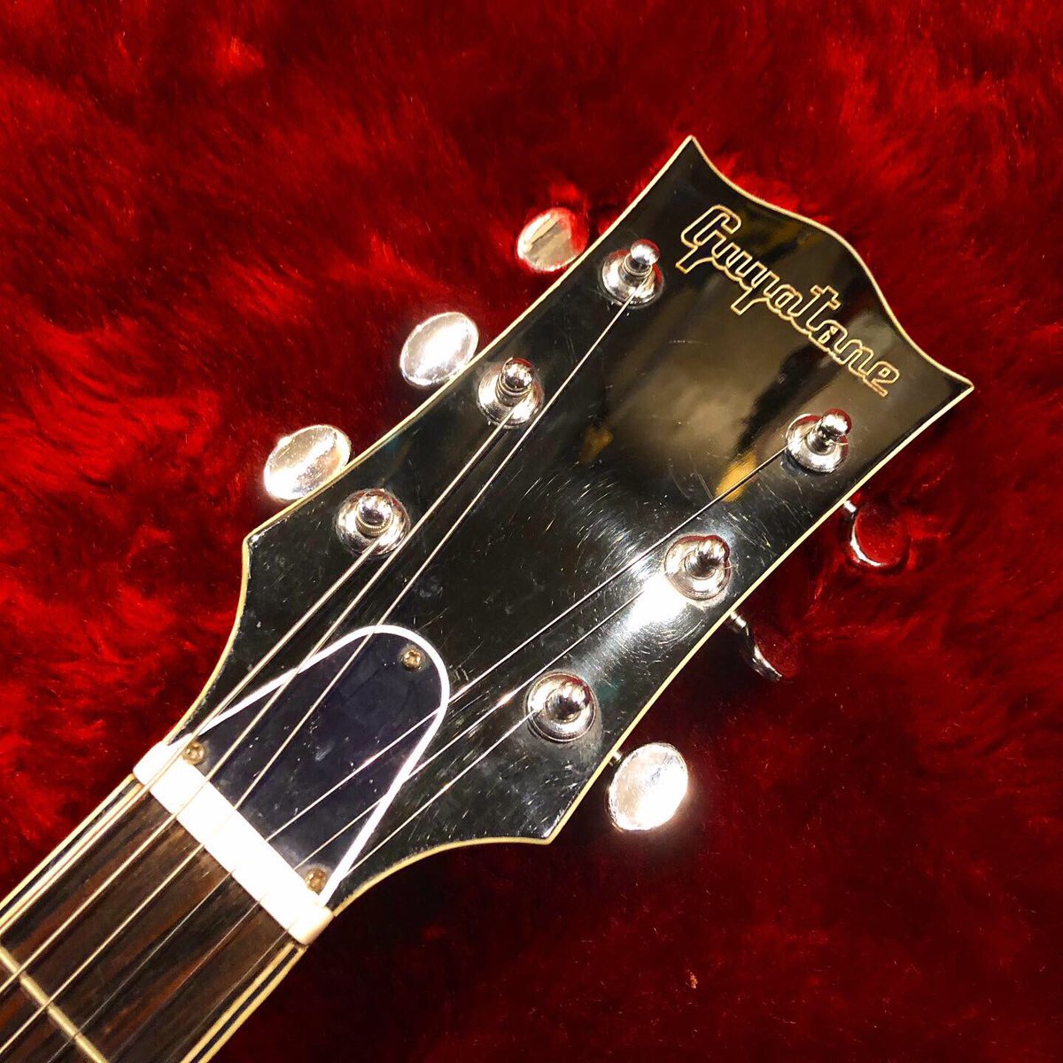 Guyatoneの比較的正統派なフルアコビザールSG-22Tです