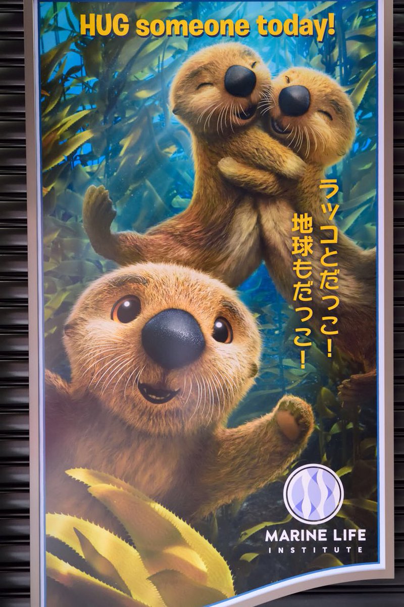 シーライダーまじ何回でも乗れるくらい。ラッコが本当に本当にかわいい