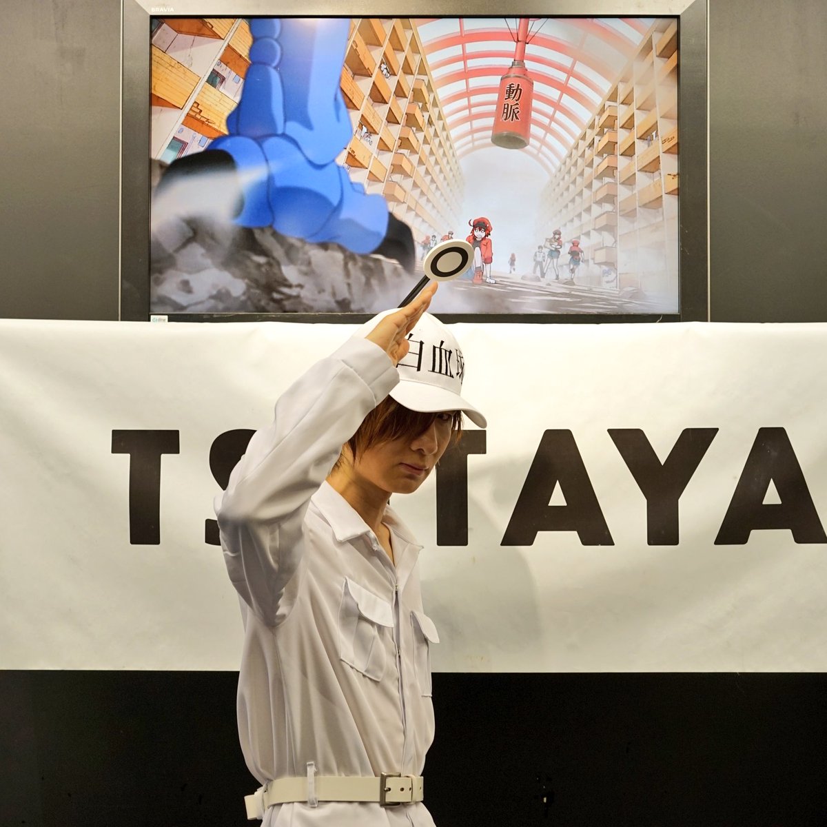 本日8/29(水)開催のSHIBUYA TSUTAYAさんでの「#はたらく細胞」Blu-ray