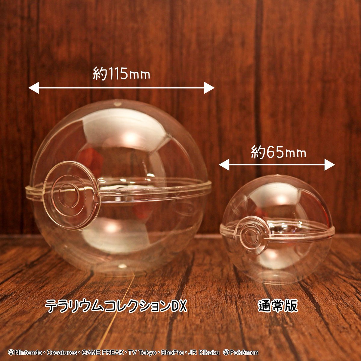 画像初公開！ 【ポケットモンスター テラリウムコレクションDX