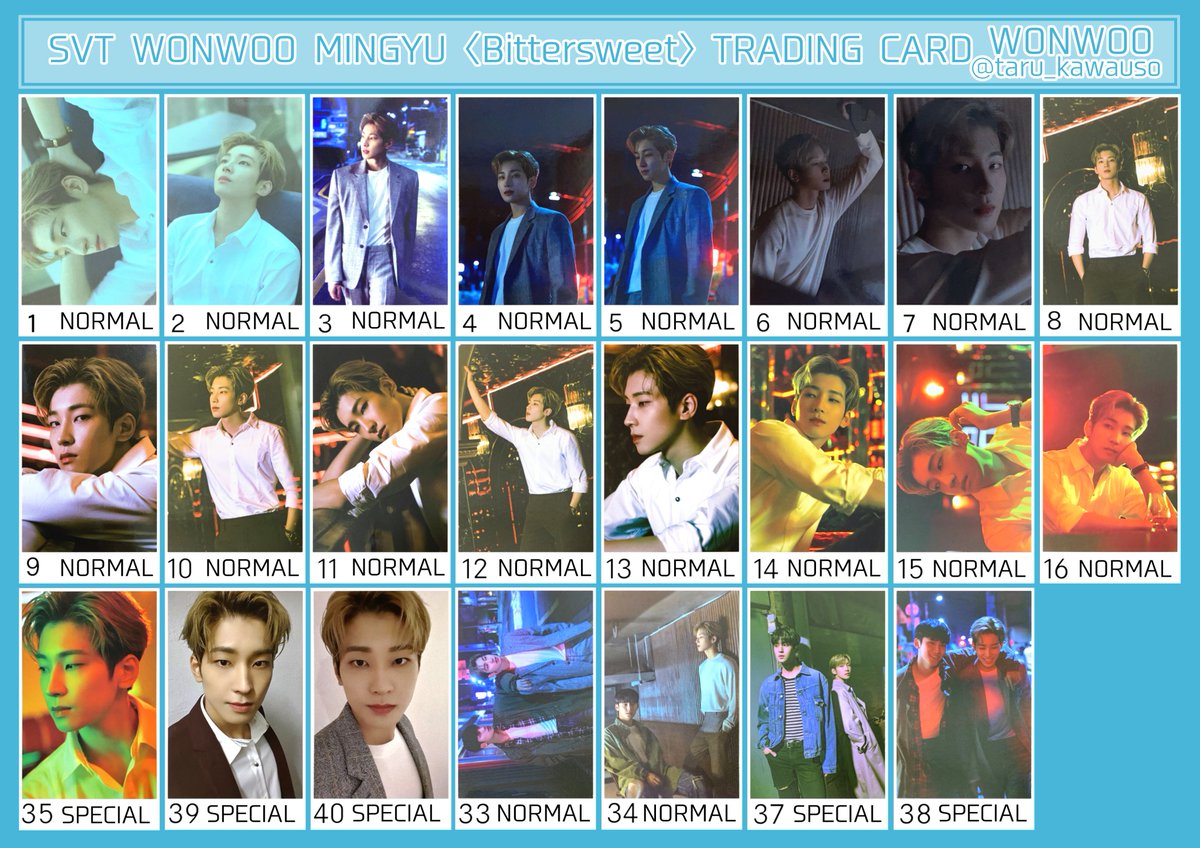 SEVENTEEN セブチ トレカ一覧 Bittersweet ウォヌ ミンギュ ※交換など