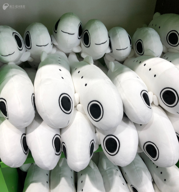 湘南・江の島の特産品、そして世界唯一の当館の繁殖展示にちなんだ