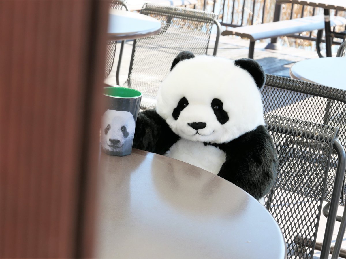 通販より🚚】 暖かな陽気に誘われ、園内でひとやすみ中の抱っこ