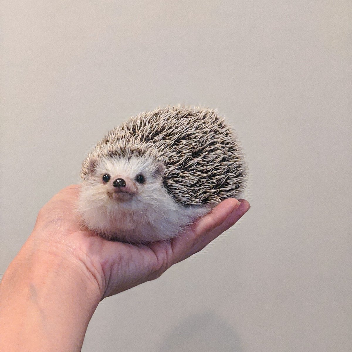 1年に1度だけ作ろうと思っているスーパーリアルハリネズミ、今年も作り