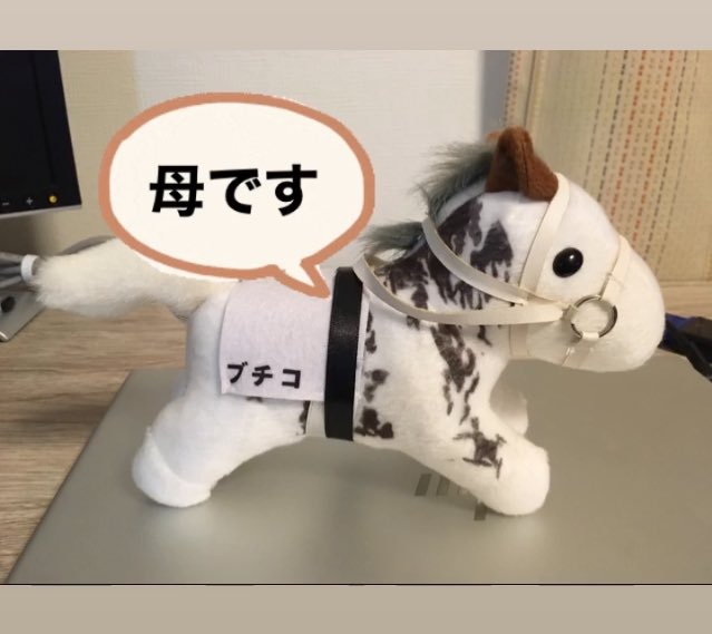 ｷﾀ━━━━(ﾟ∀ﾟ)━━━━!! #ソダシ #ブチコ #クロフネ #アイドル