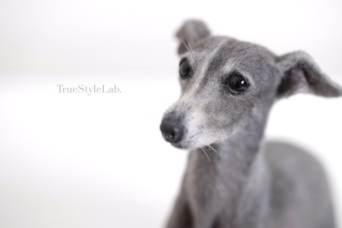 羊毛造形】 オーダーのイタグレさん、完成いたしました！🙌 完成作品