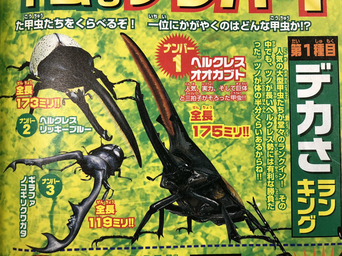 ムシキングアクティオンゾウカブト夏ヘルクレスオオカブトギラファ