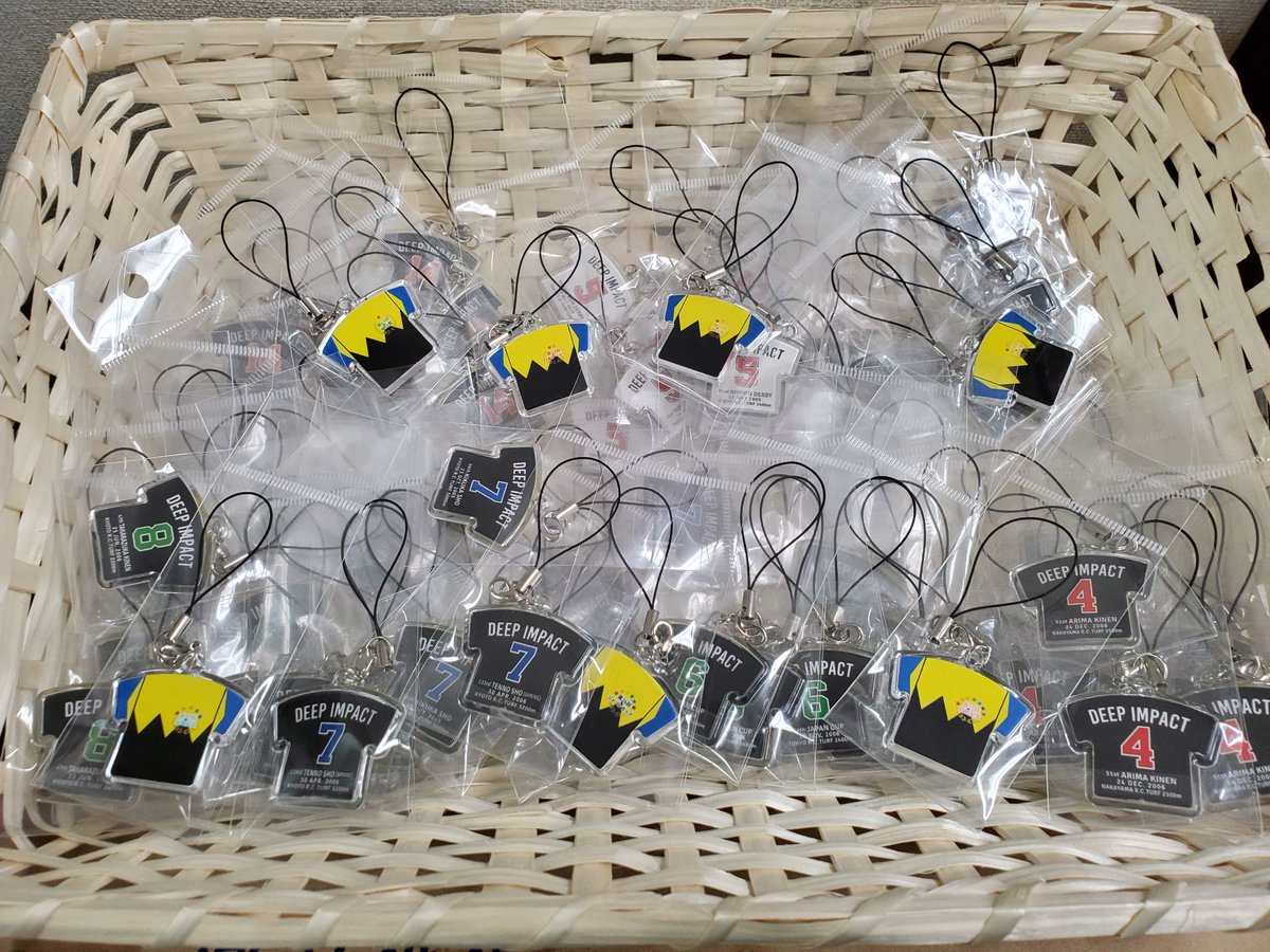 東京競馬場限定】 ディープインパクトが勝った全G1レース（7レース）分