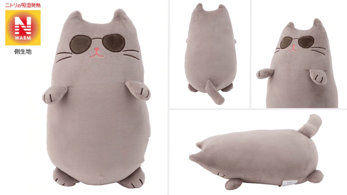 🐱ずっとギュ〜〜としていたい💕／ かわいい～サングラス🕶️の