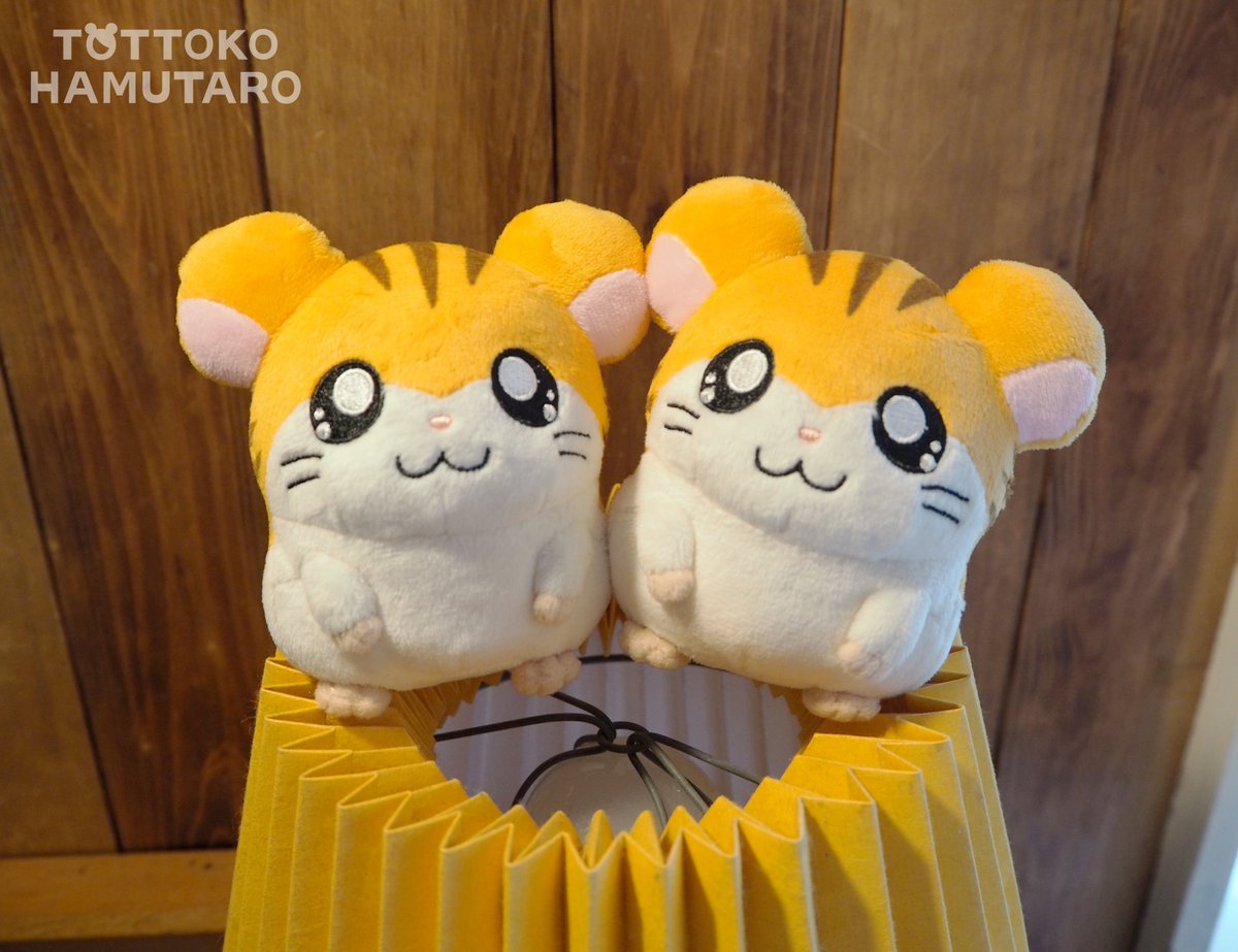 とっとこハム太郎】 ハムちゃんずぬいぐるみのかわいい画像を不定期で