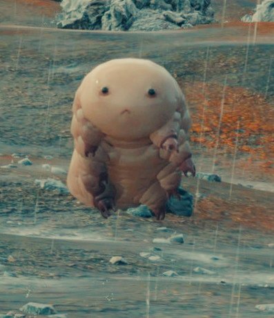 よく見ると可愛い」と言われます #クリプトビオシス です、よろしく