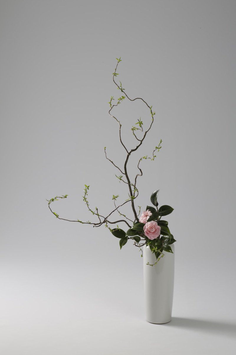 本日紹介する作品は瓶花「直立型」です。 客枝に用いている乙女椿が