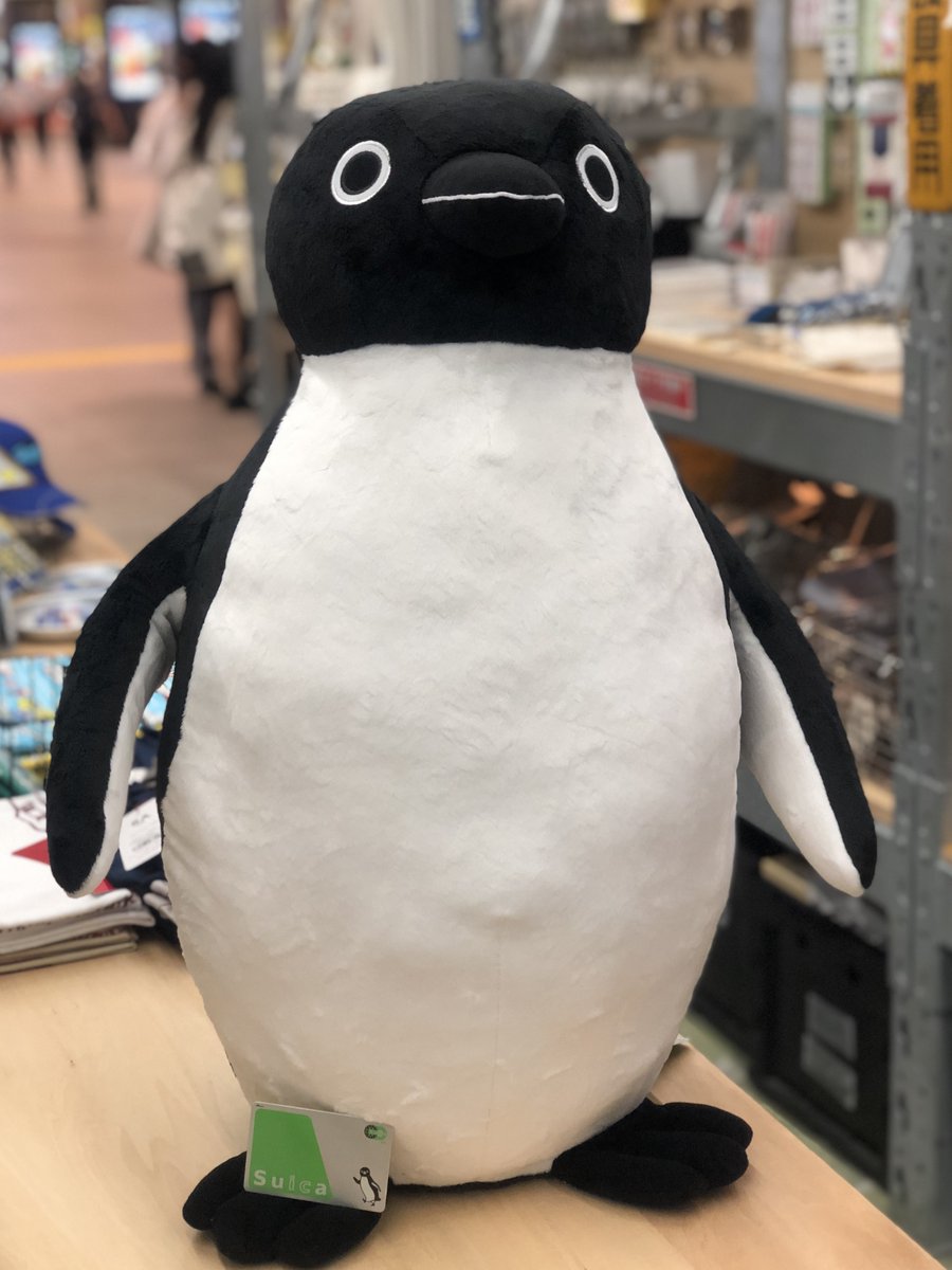 高さ約70cmのXLサイズ！『Suicaのペンギン ぬいぐるみ (￥12000+税