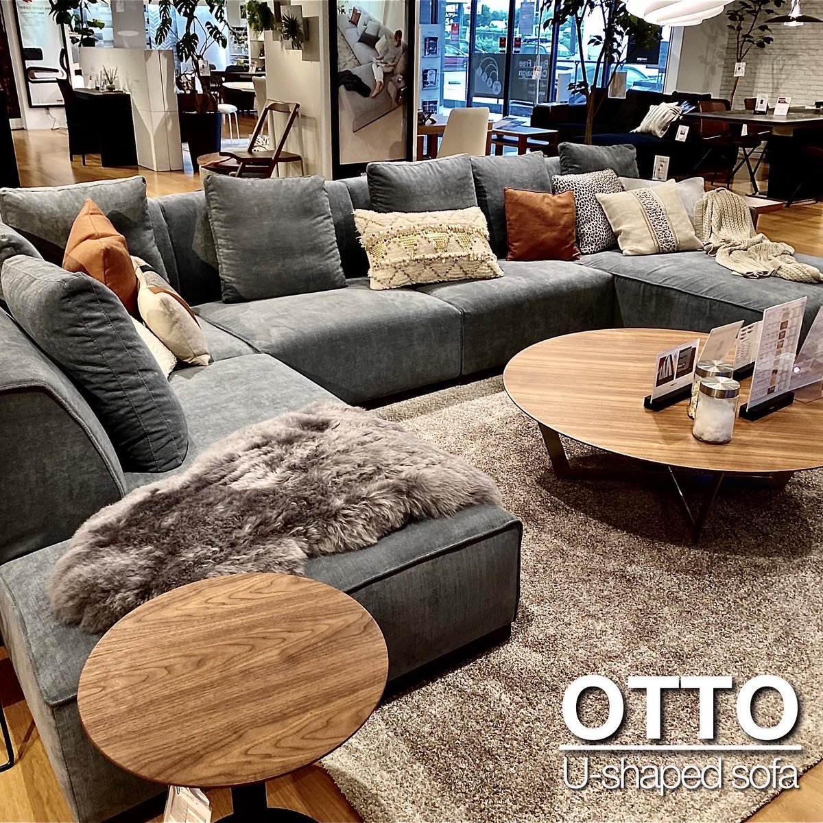 songdream (@songdream_japan) / Posts / X