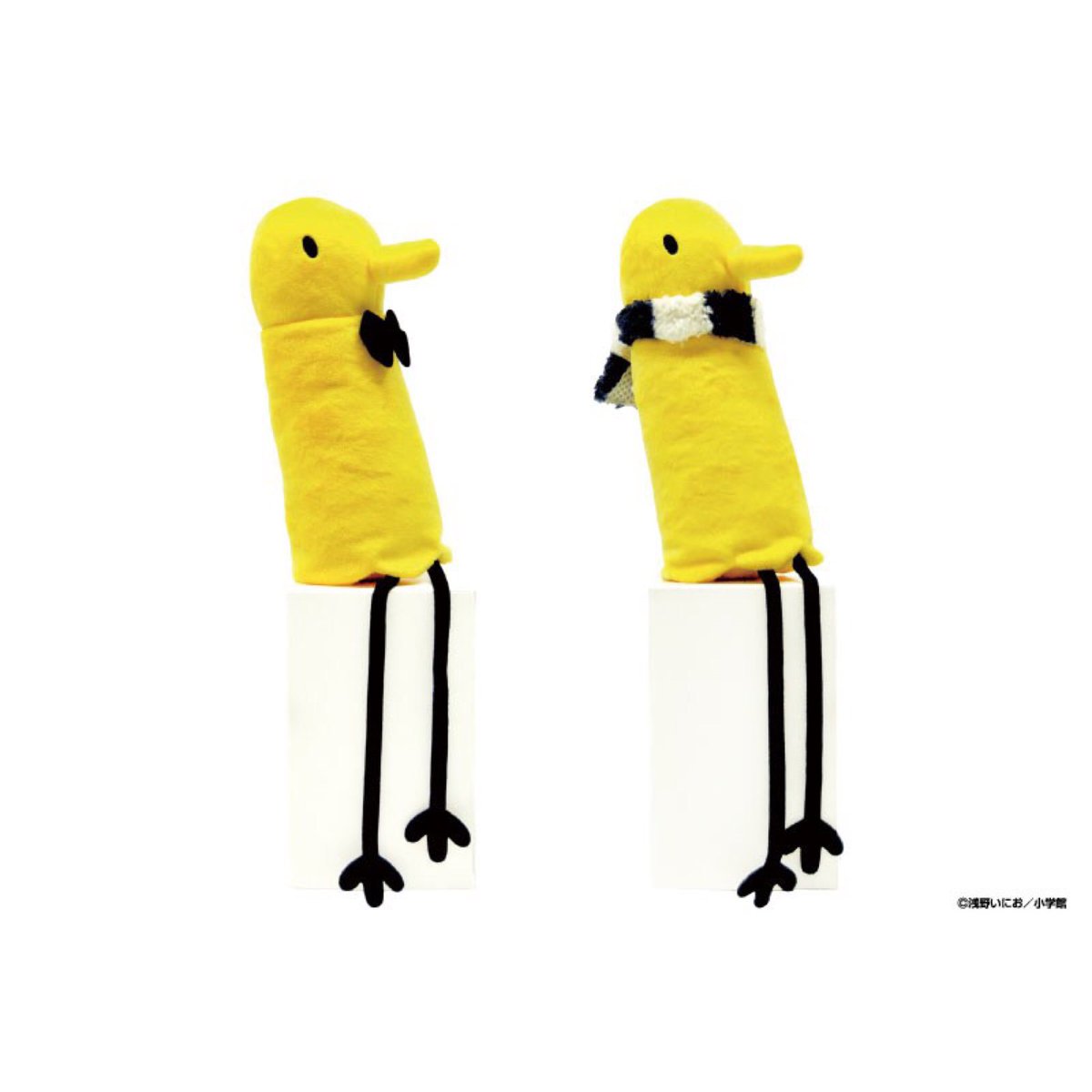 EeEPWIRUcAQ7nOa.jpg?format=jpg