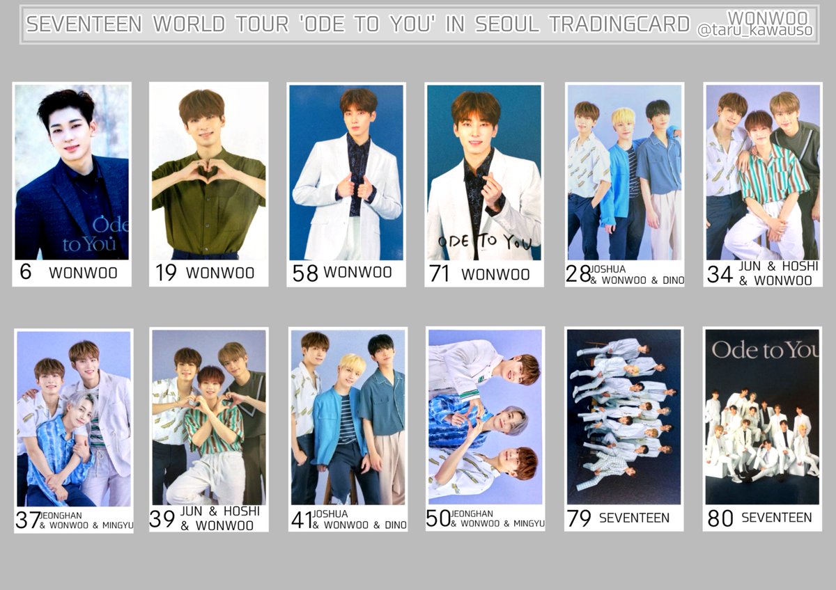SEVENTEEN セブチ WORLD TOUR ODE TO YOU IN SEOUL ソウル TRADINGCARD