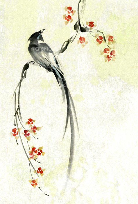 鳥の絵 軍鶏、軍鶏、烏骨鶏、サンコウチョウ #水墨画 #墨絵 #イラスト