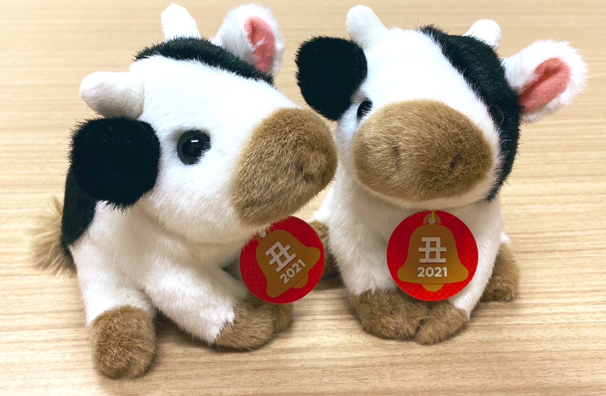 浅草橋本店】 早いもので、今年ももう残すところ約2ヶ月…！ 来年2021年