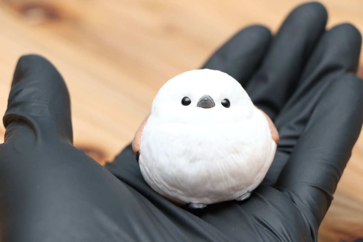 Post by ぼく、シマエナガ。 on X: 手乗りシマエナガ