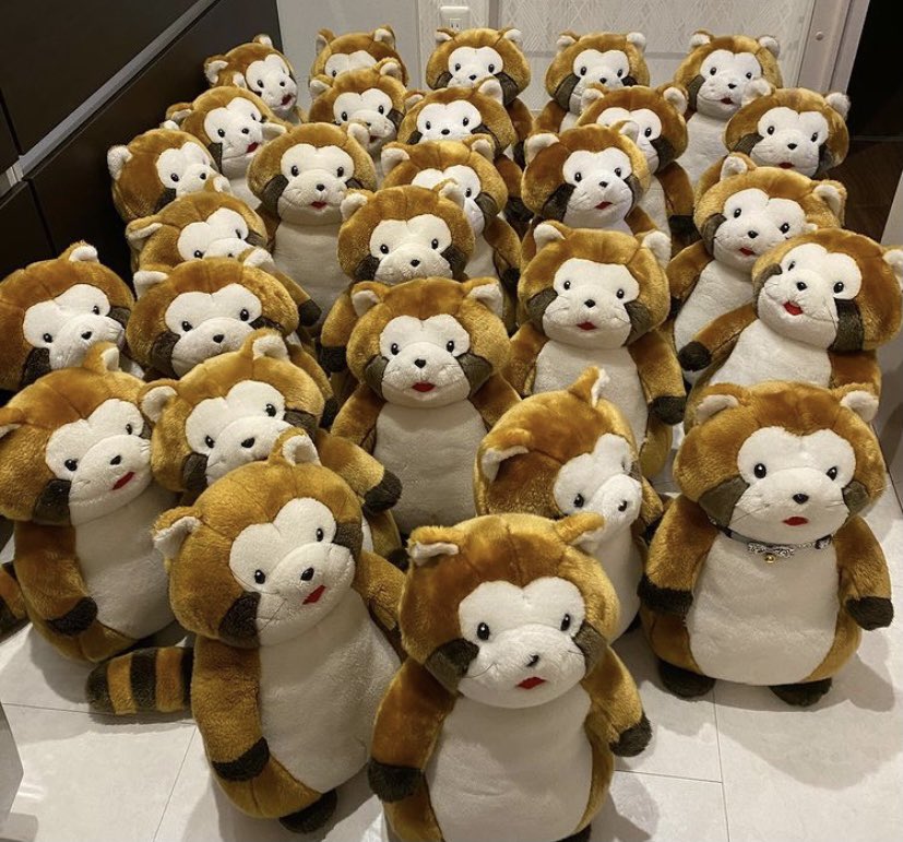 尻尾を見る限りアライグマのようです。 ただあらいぐまラスカルは