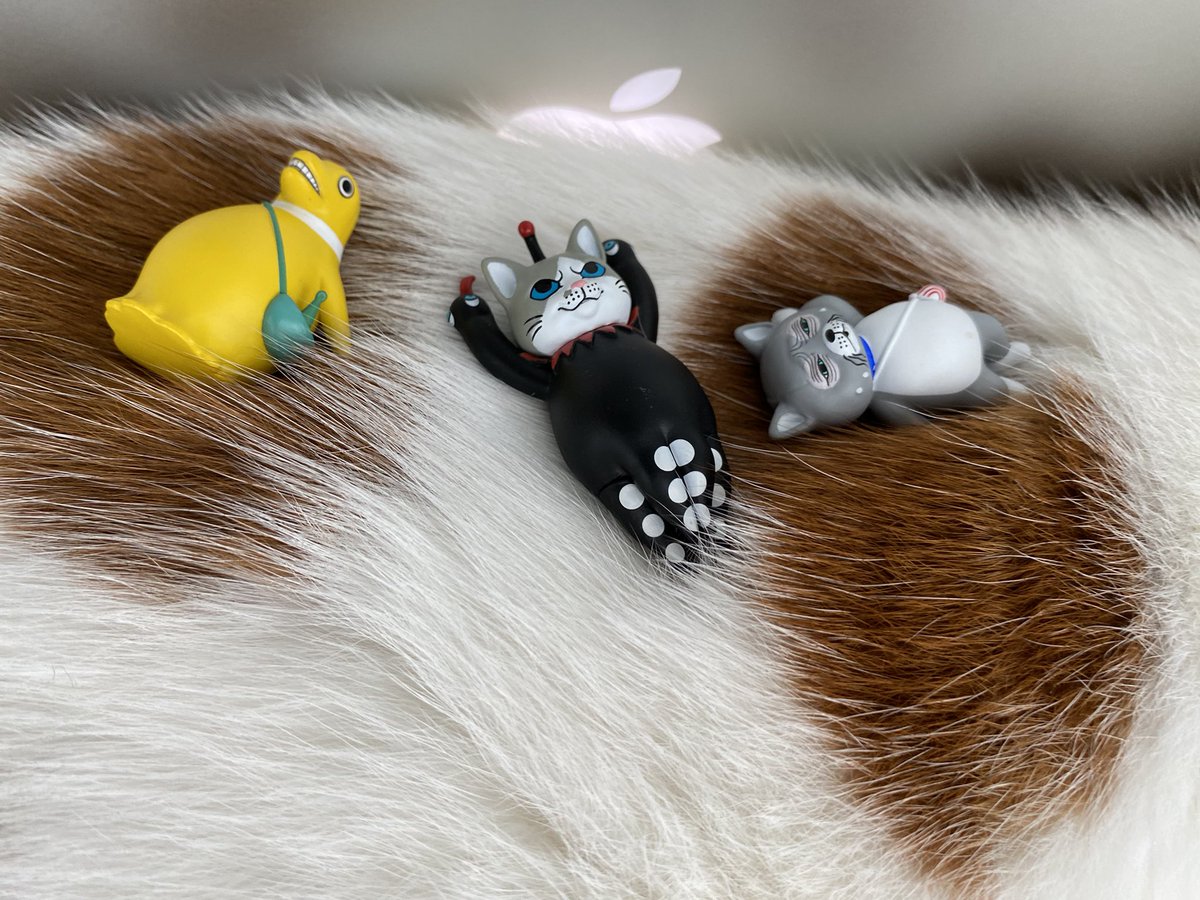 今日から！販売です 場所は #ボリス雑貨店 の実店舗とオンラインのみ