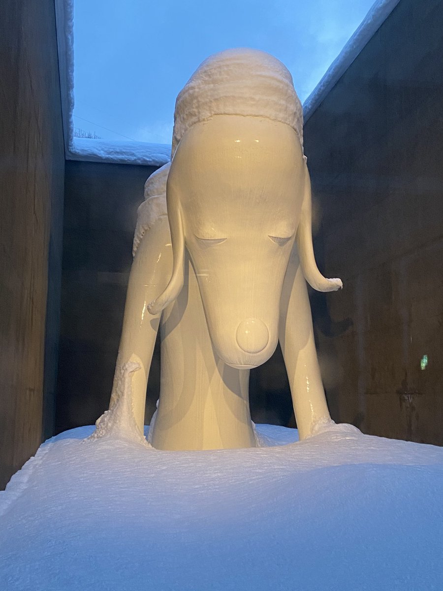 本日の「あおもり犬」（1枚目）と昨日の「あおもり犬」（2枚目