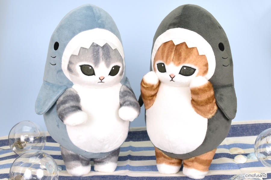 今度のサメにゃんは自分で立てる❗️／ #mofusand(@mofu_sand) 「おす