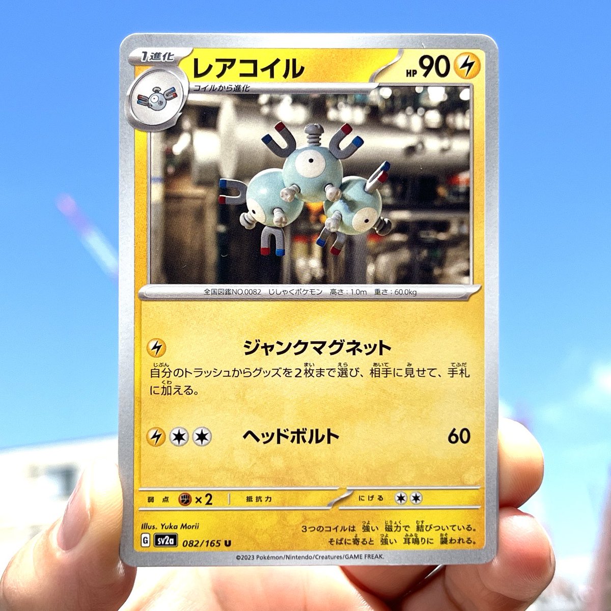 My new Pokémon cards 