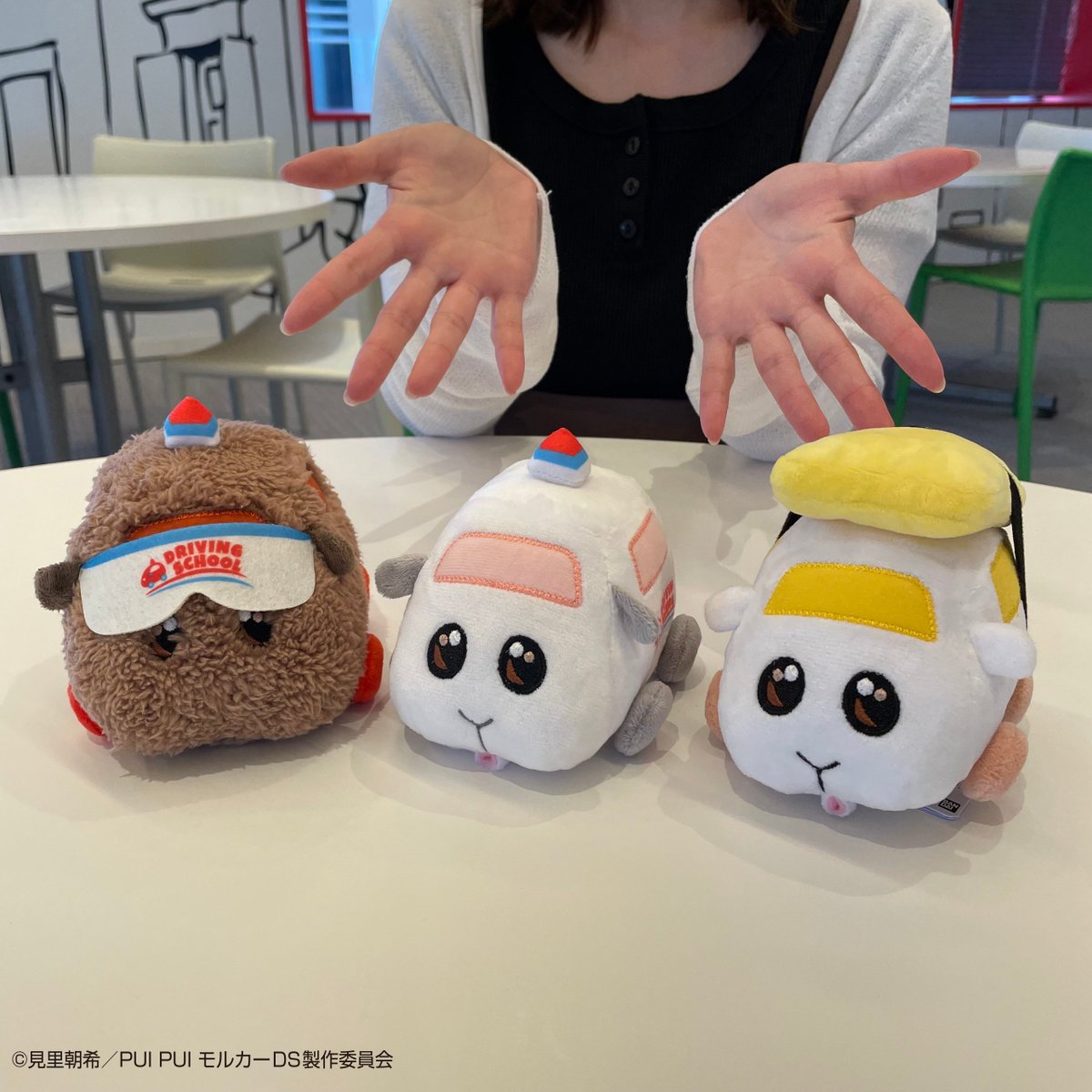 📢 #PUIPUIモルカープライズ情報 《6月20日(火)より順次登場》 PUI PUI