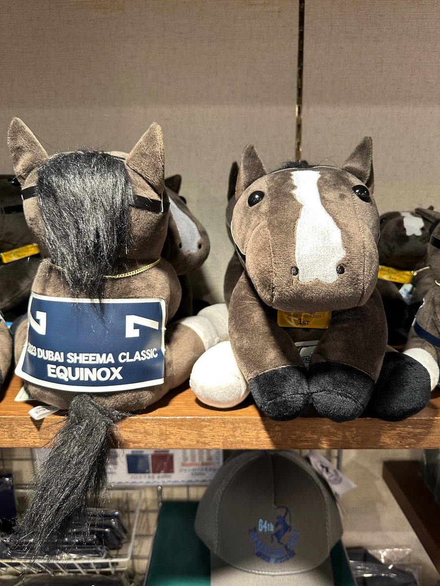 ✨阪神ターフィーショップからのお知らせ✨ ・アイドルホース『イク