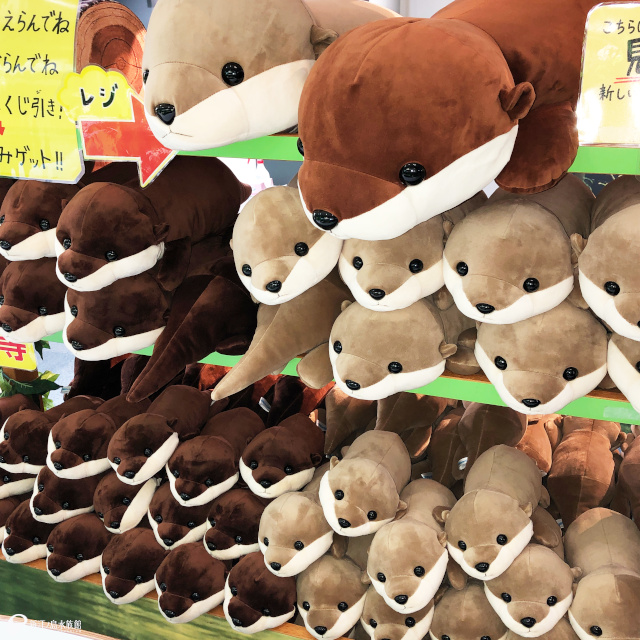 1等～3等どれを引いてもカワウソの、えのすい「ぬいぐるみクジ