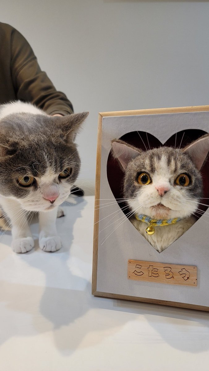 我が家の猫様」と題して羊毛フェルトで画像の様なハートの穴から顔を